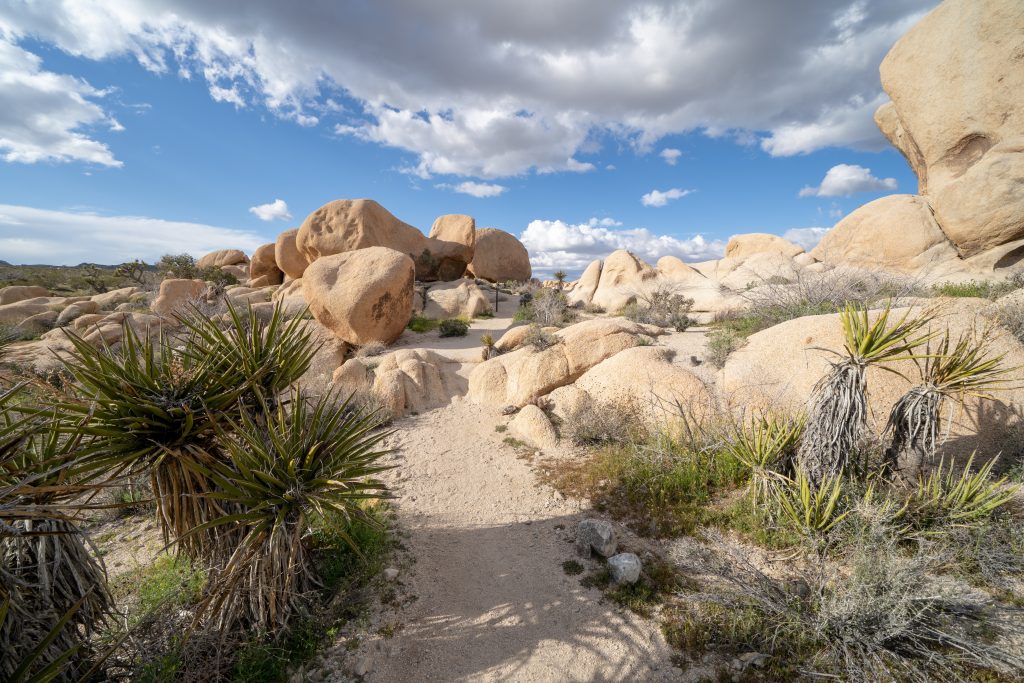 Arch Rock - Joshua Tree National Park