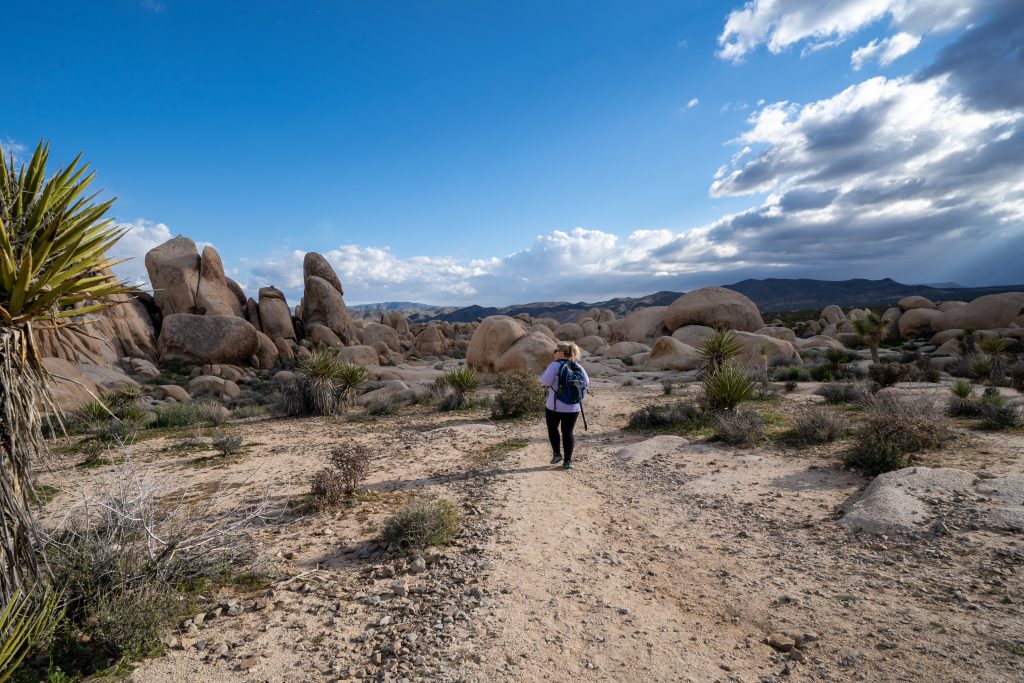 Arch Rock in Joshua Tree National Park