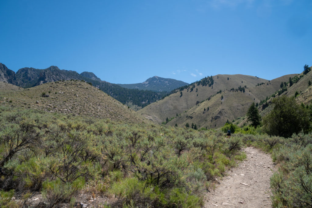 Goldbug Hot Springs Hike - Idaho