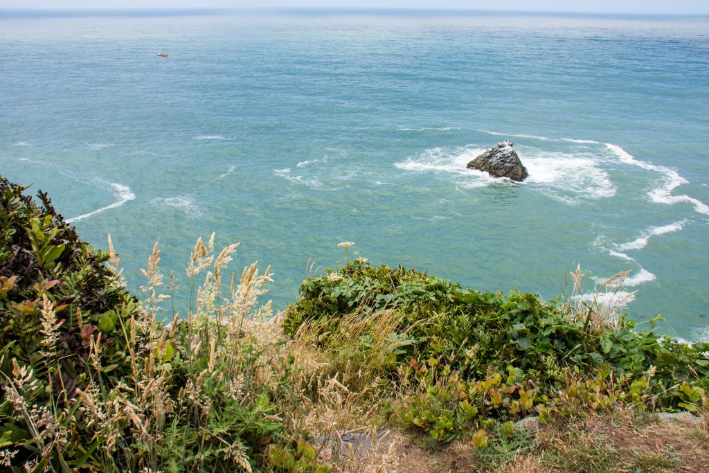 Patrick's Point State Park California