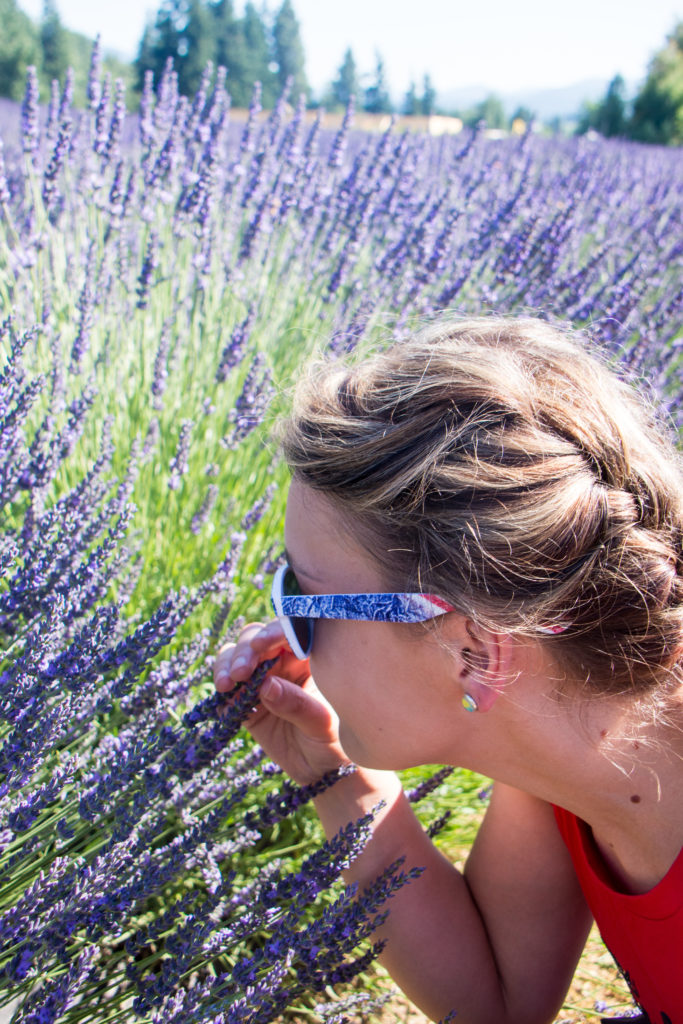 Lavender Valley Oregon Lavender Farm