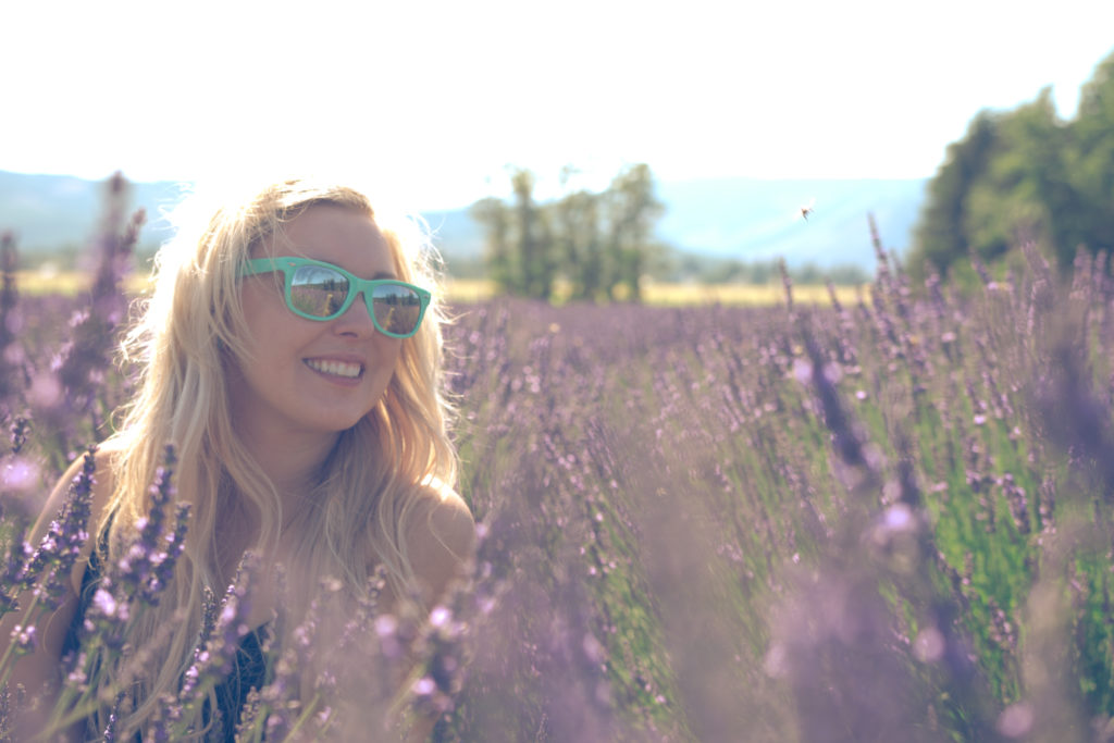 Lavender Valley Oregon Lavender Farm