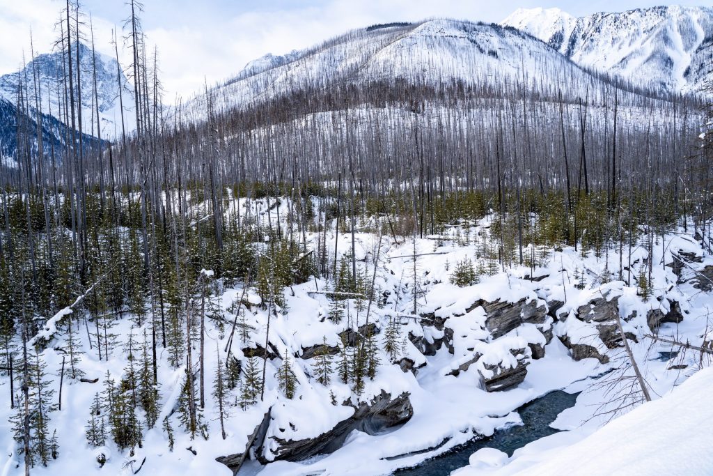 Kootenay National Park - BC Canada