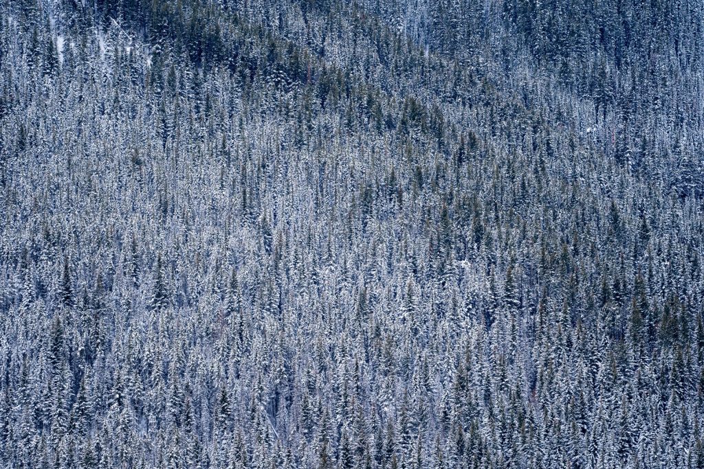 Kootenay National Park Canada