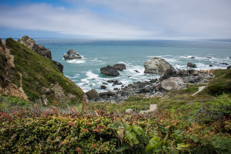 Patrick’s Point State Park: Trinidad, California