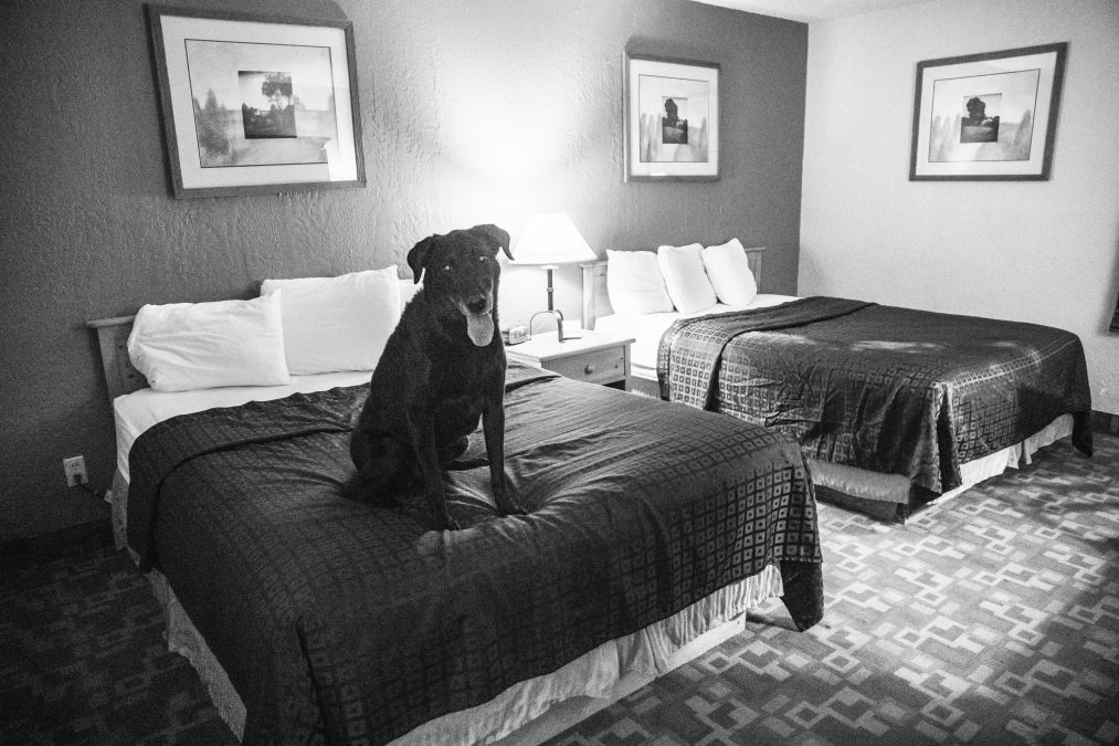 Kalispell - Fairbridge Inn and Suites Outlaw Convention Center