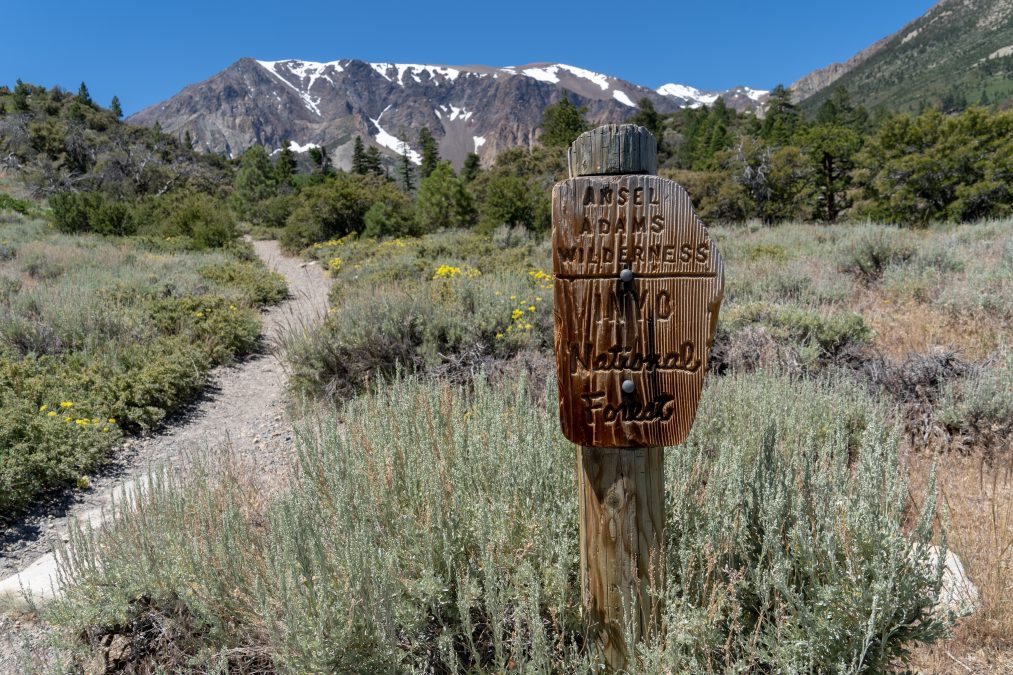 Parker Lake trailhead is in the Ansel Adams Wilderness of the Inyo National Forest