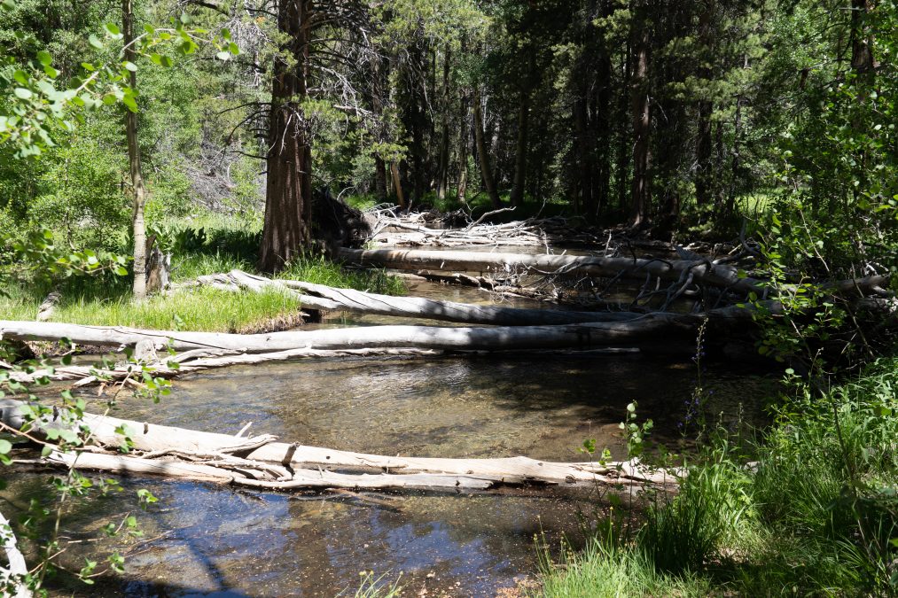 Parker Lake trailhead is in the Ansel Adams Wilderness of the Inyo National Forest