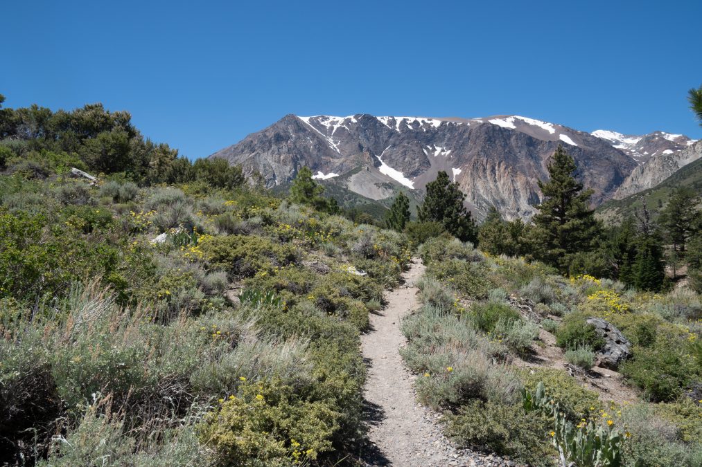 Parker Lake trailhead - June Lake California in the Eastern Sierra Nevada mountains