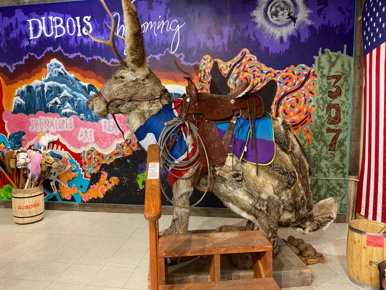 Worlds Largest Jackalope Exhibit – Country Store Travel Stop and Gas Station: Dubois, WY