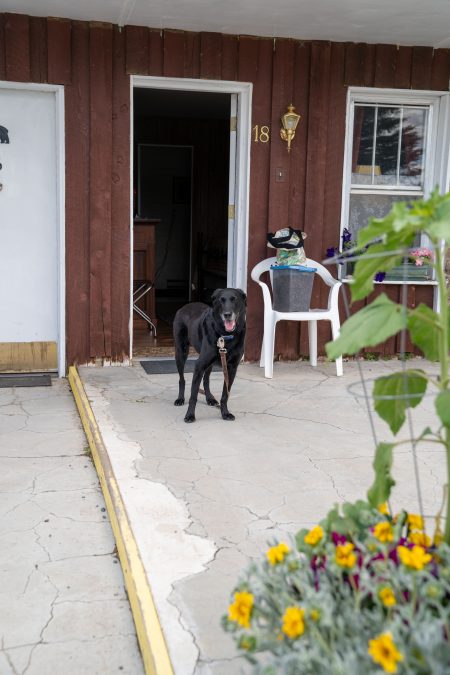 Pet Friendly Black Bear Inn - Dubois Wy