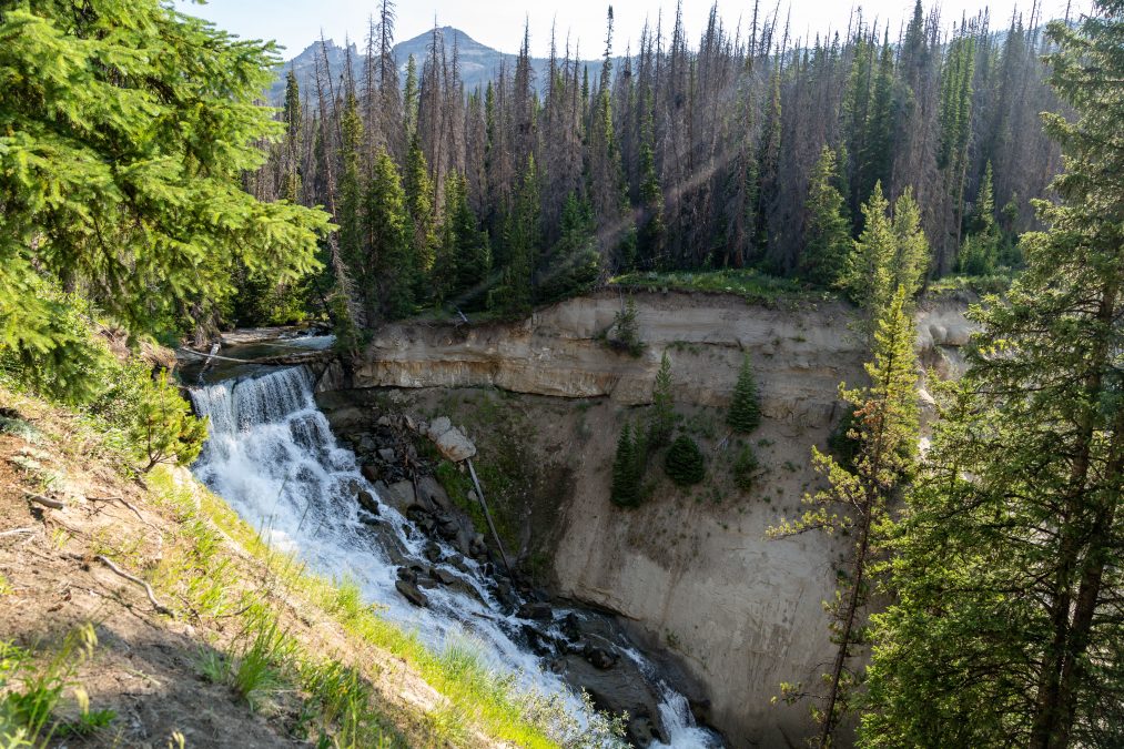 Brooks Lake Creek Falls in Wyoming