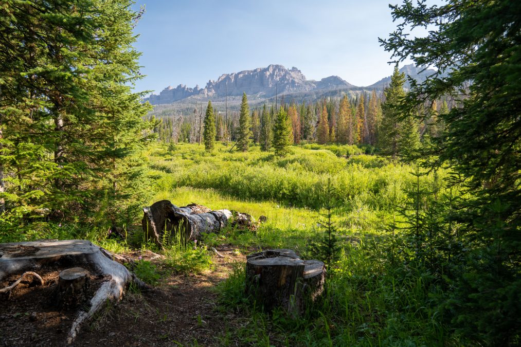 Shoshone National Forest Wyoming