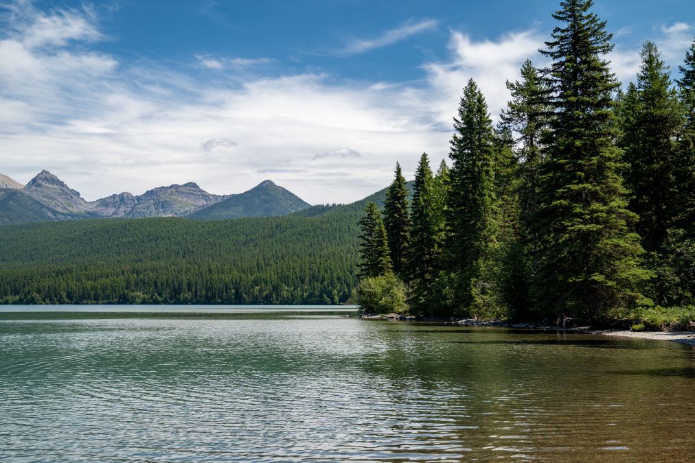 Bowman Lake Glacier National Park Montana