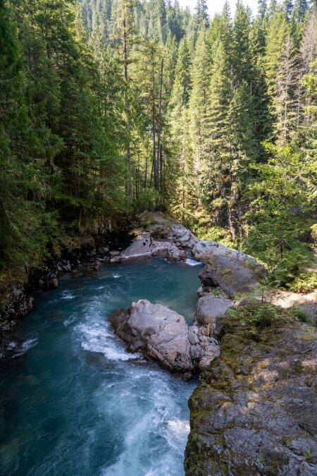 The North Fork Nooksack River in the Mt. Baker-Snoqualmie National Forest