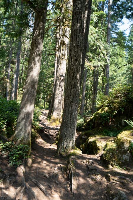 Trail to Nooksack Falls waterfall in WA