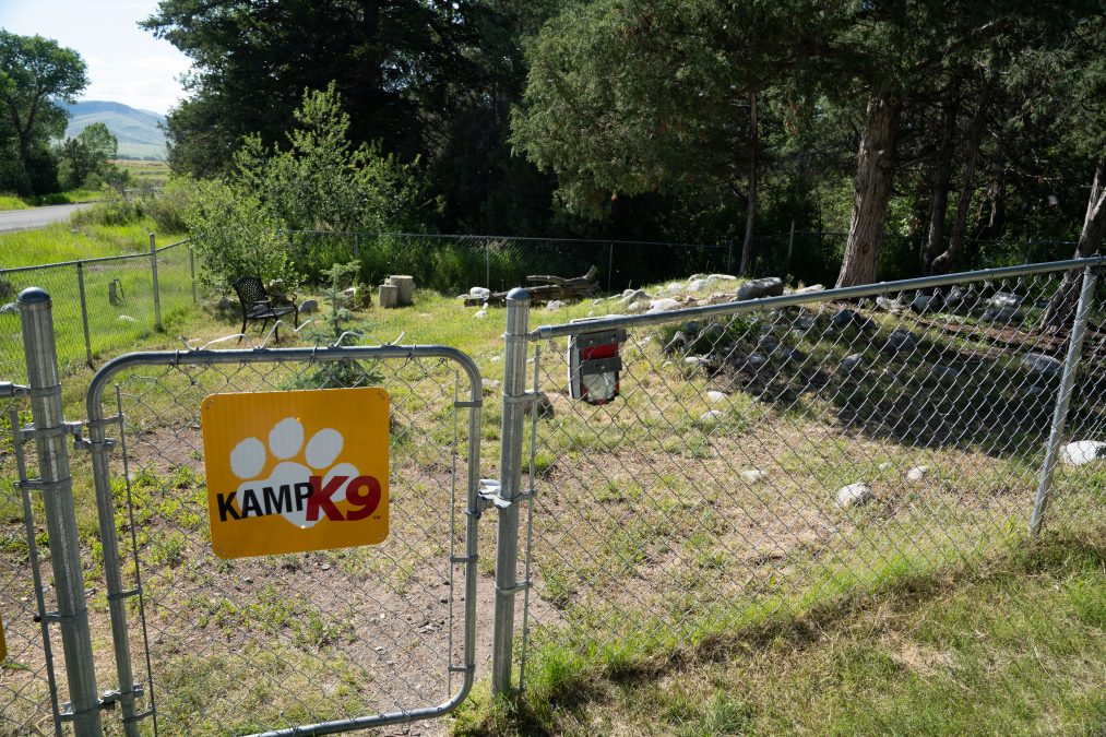 Camp K9 Kamp - KOA
