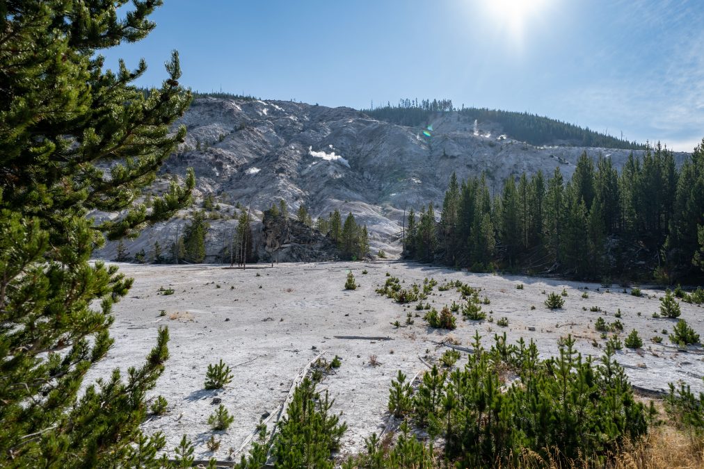 Roaring Mountain in Yellowstone National Park
