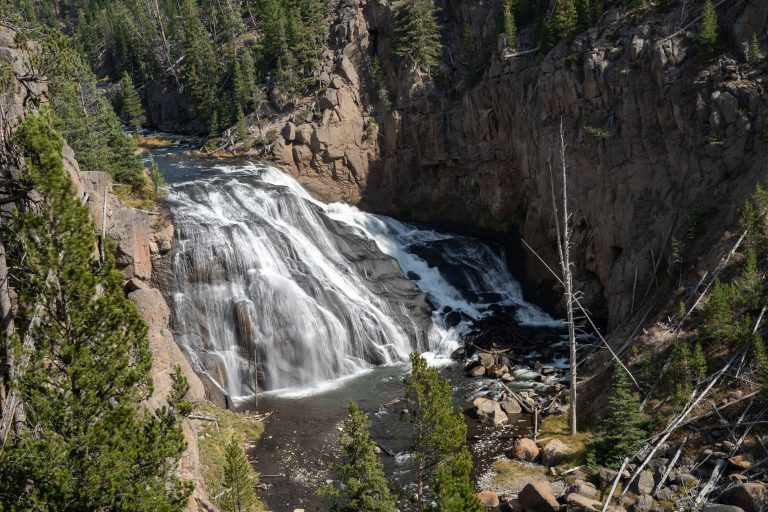 Gibbon Falls Waterfall – Yellowstone National Park