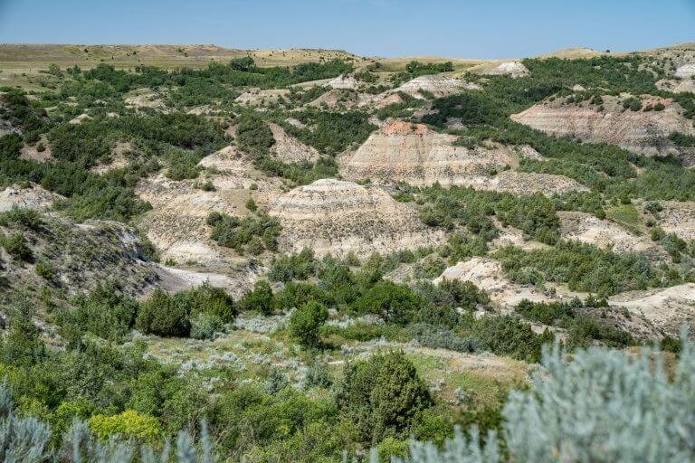 Short Itinerary: 15 Minutes in Theodore Roosevelt National Park – North Dakota