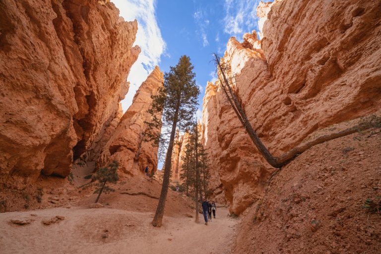 Hiking Queens Garden & Navajo Loop Trail – Bryce Canyon National Park Utah