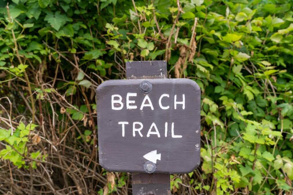 Trail leading to Kalaloch Beach