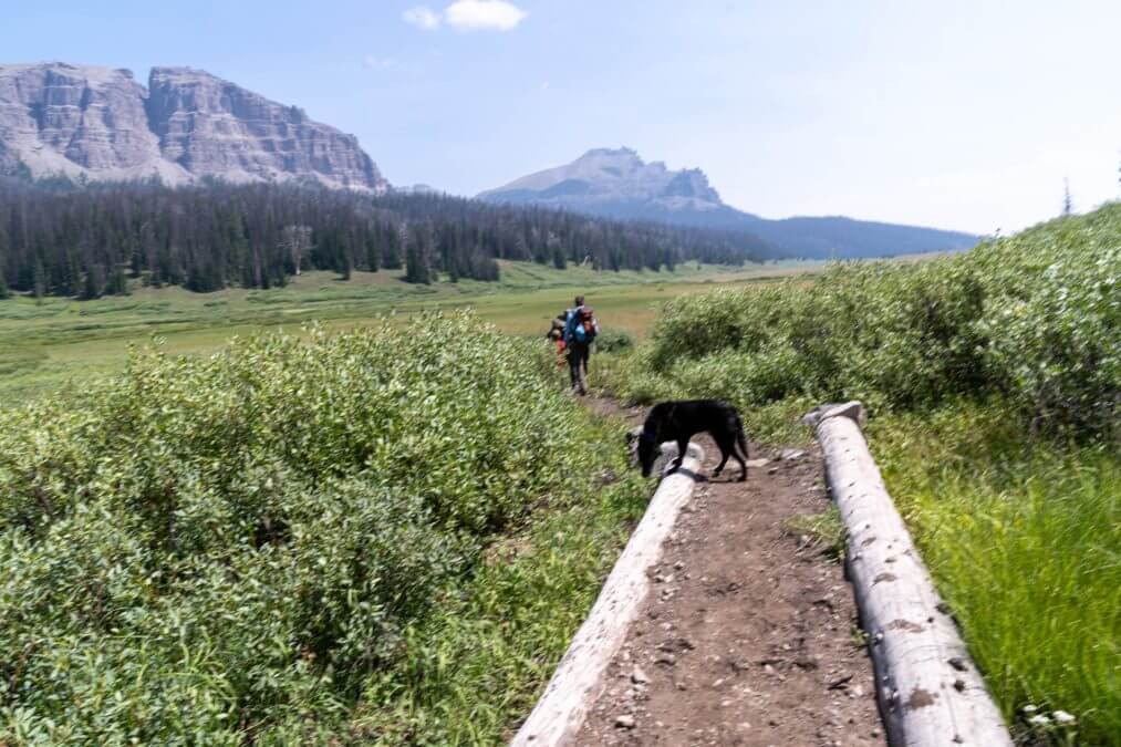 The hike to upper brooks lake in Wyoming