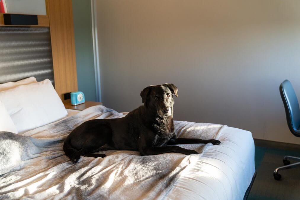 ALOFT Green Bay Wisconsin review