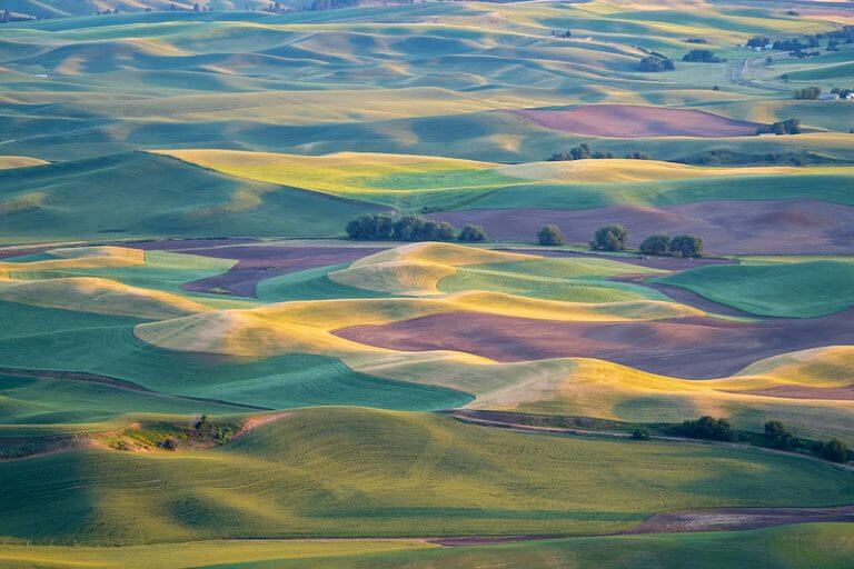 Steptoe Butte State Park in the Palouse of Washington: What to see, photography spots and more!