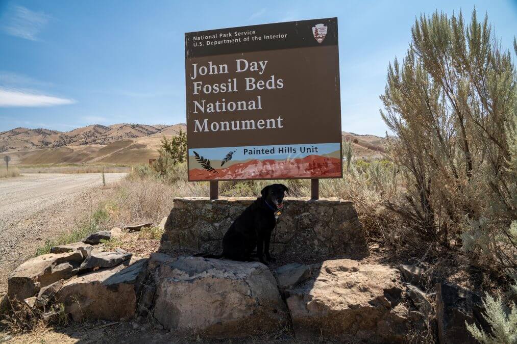 John Day Fossil Beds National Monument