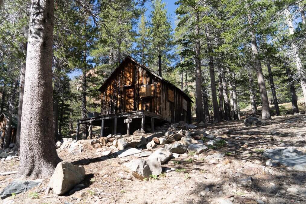 Mammoth Consolidated Gold Mine ruins