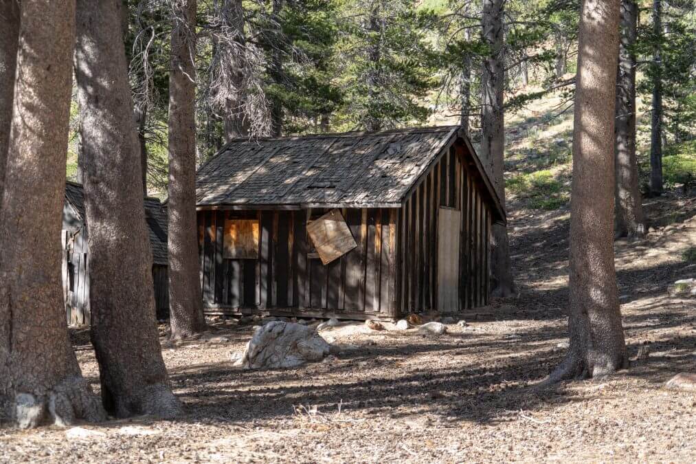 Mammoth Consolidated Gold Mine ruins