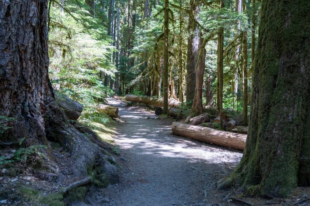 Start of the trail to Sol Duc Falls